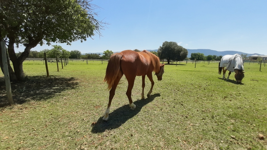 0 Bedroom Property for Sale in WestLake Country Safari Estate North West